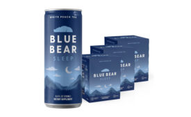 Blue Bear.jpg