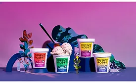 Brave Robot animal free ice cream.jpg