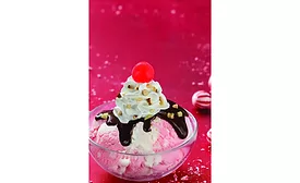 Baskin-robbins December seasonal flavors