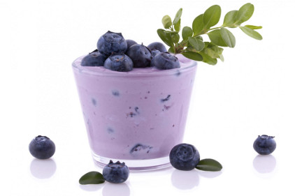 Penford Food - Yogurt image