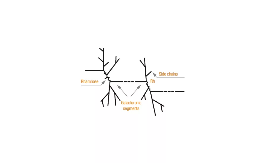 Pectin advancements catalyzing growth in the dairy beverage market  