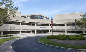 Emerson environmental sustainability
