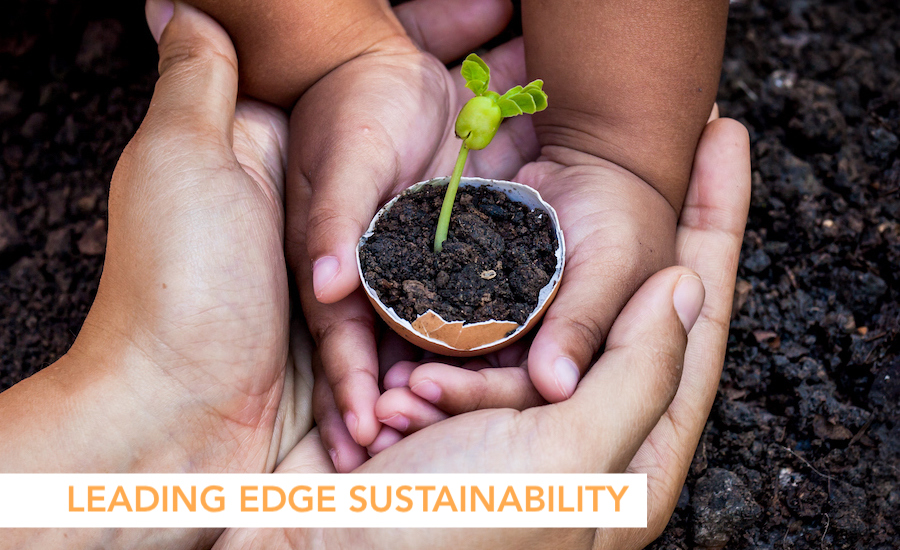Leading-edge Sustainability