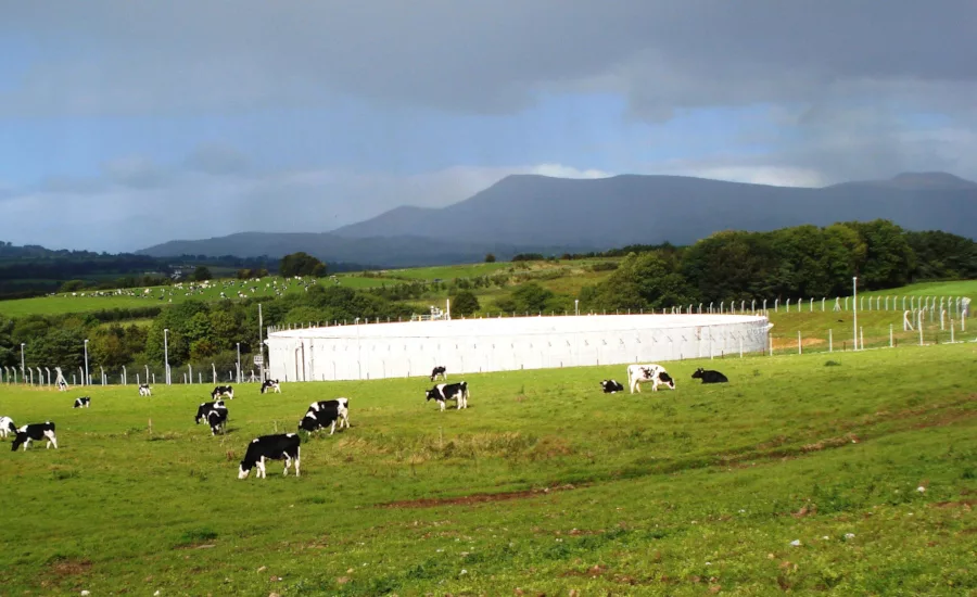 Xylem’s largest BVF reactor at a dairy farm