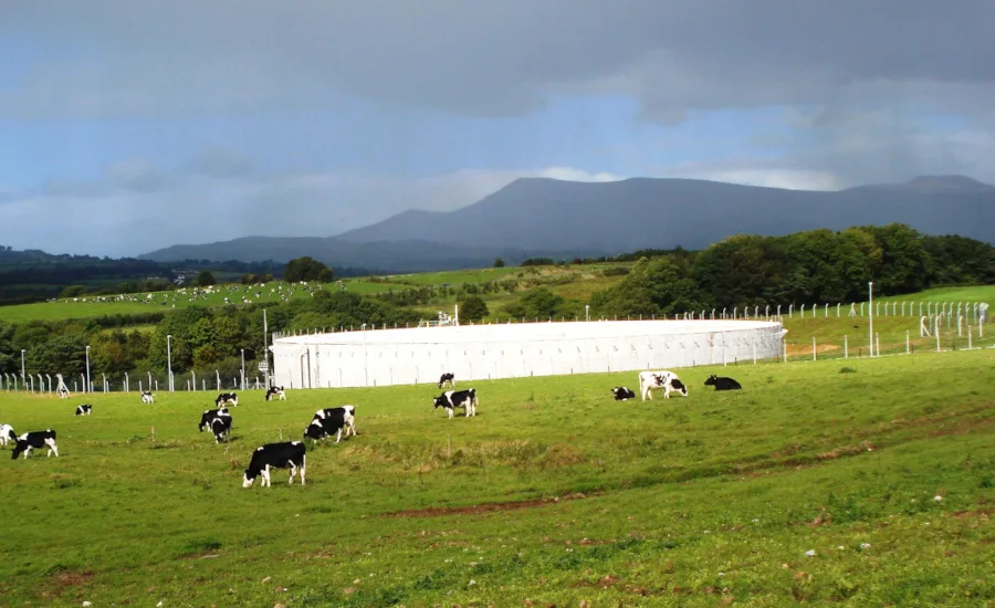 Xylem’s largest BVF reactor at a dairy farm
