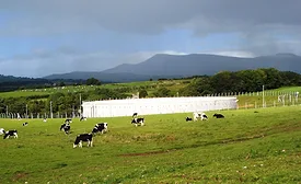 Xylem’s largest BVF reactor at a dairy farm