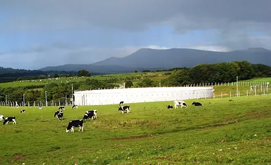 Xylem’s largest BVF reactor at a dairy farm