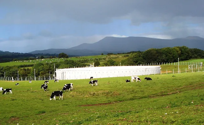 Xylem’s largest BVF reactor at a dairy farm
