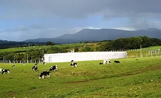 Xylem’s largest BVF reactor at a dairy farm