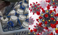 Clear Seas food and beverage company coronavirus research