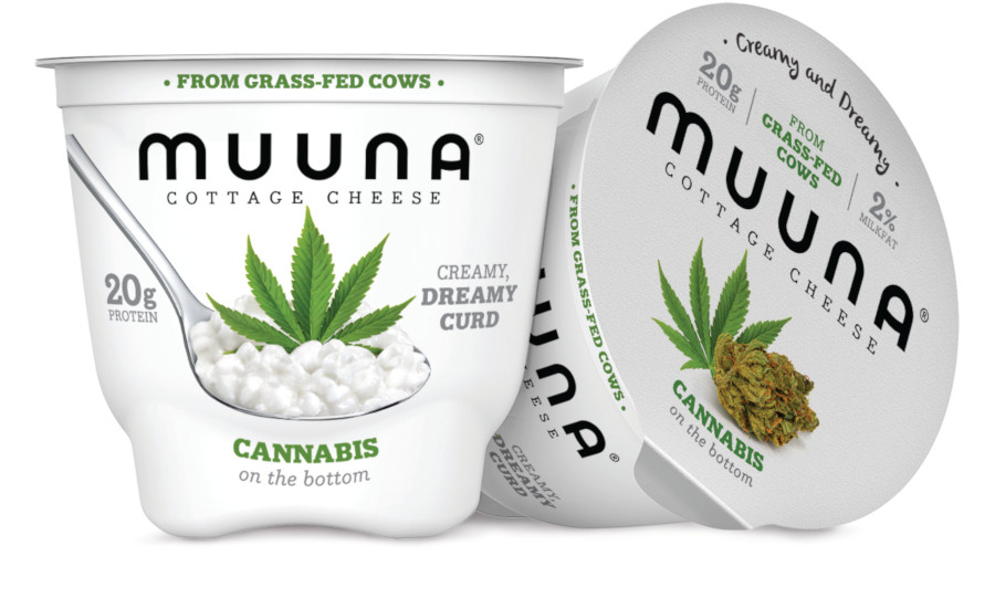 Muuna Cannabis cottage cheese